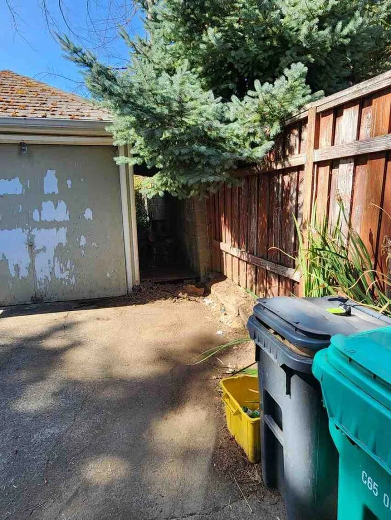 Restored outdoor utility space after professional hauling, showing clear ground and organized waste bins in a tidy environment.
