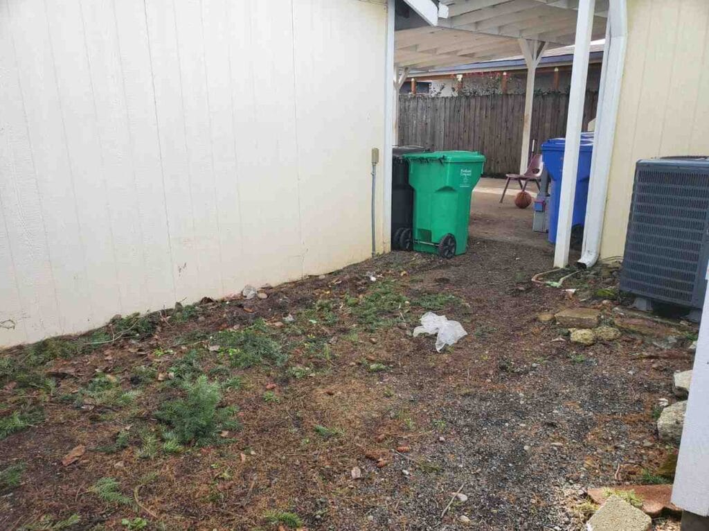 Completely cleared walkway and fence line after 503 Clutter Busters junk removal, showcasing improved property accessibility.